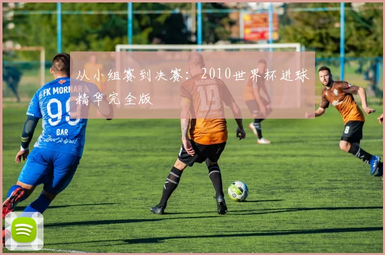 从小组赛到决赛：2010世界杯进球精华完全版