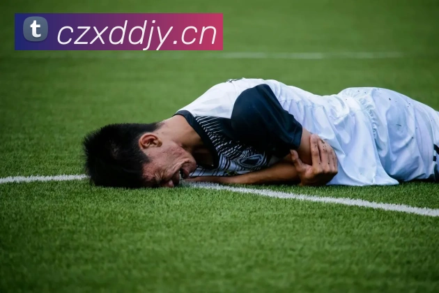 九游网页版登录界面平台生态图